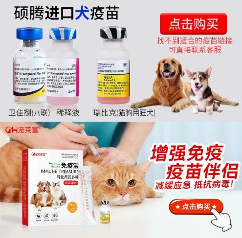 2018最新狂犬病指南