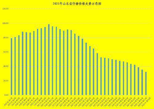 山东今日猪价最新行情分析