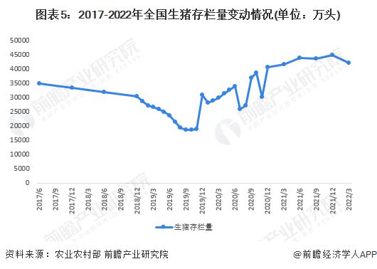 猪肉价格最新行情预测，趋势分析与展望