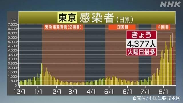 日本新冠新增最新数据及其影响分析