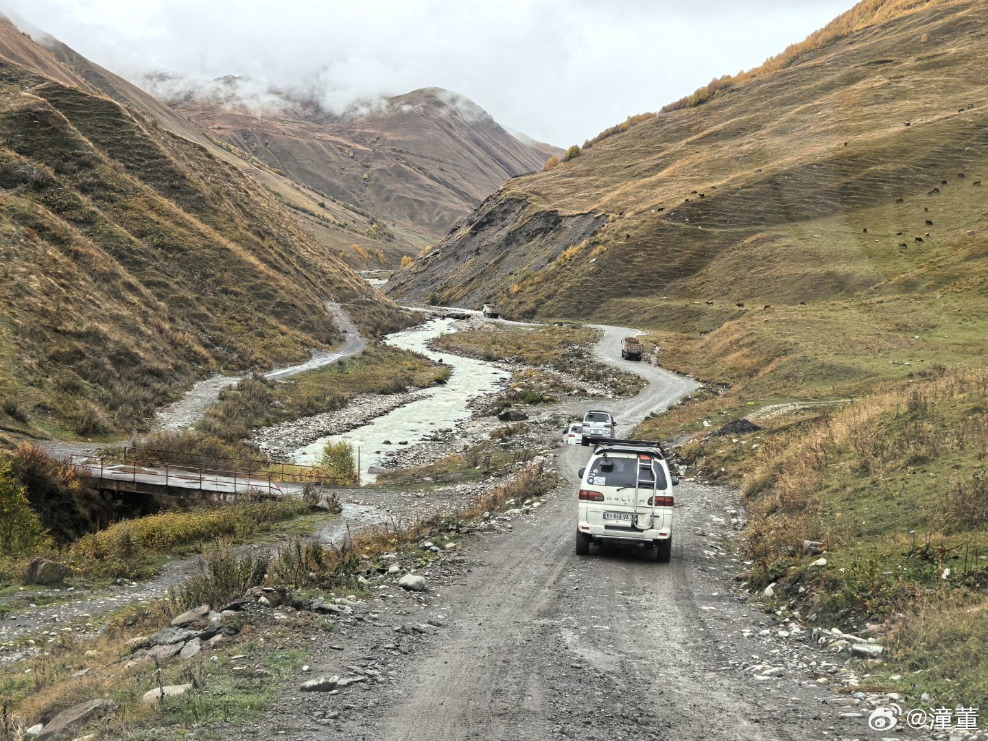 野马路最新地址，探索与发现的旅程